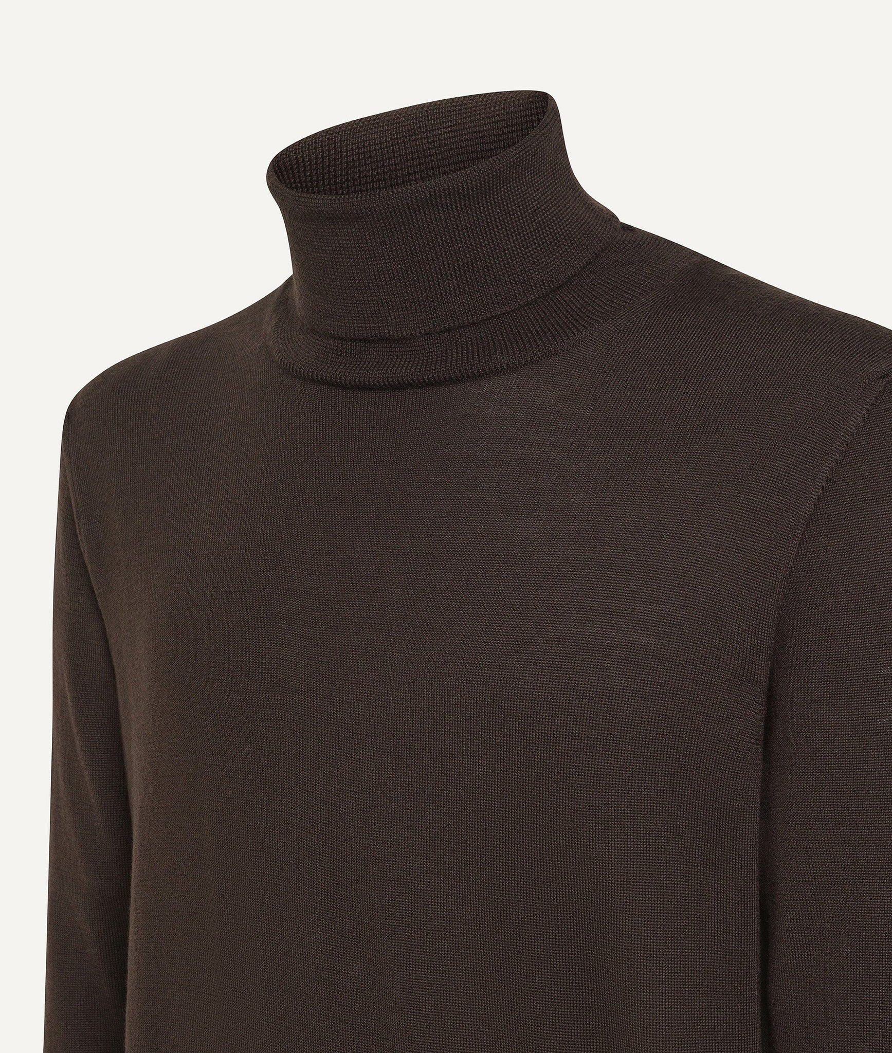 Roll Neck in Extrafine Merino Wool